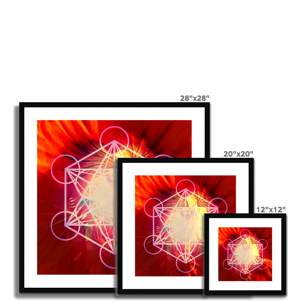 Orange Nasturtium with Metatron’s Cube Framed & Mounted Print