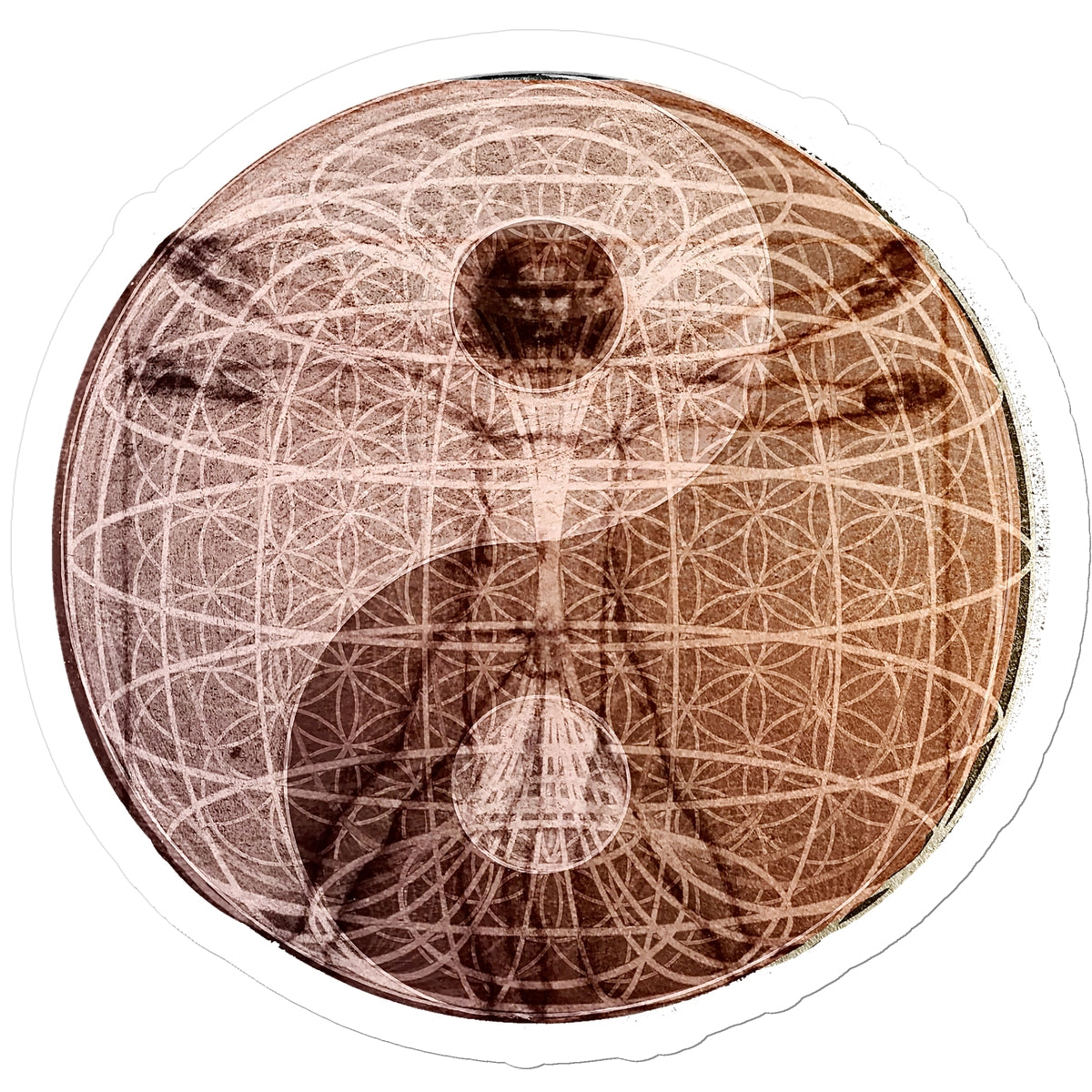 The Sphere of Life Energy Sticker