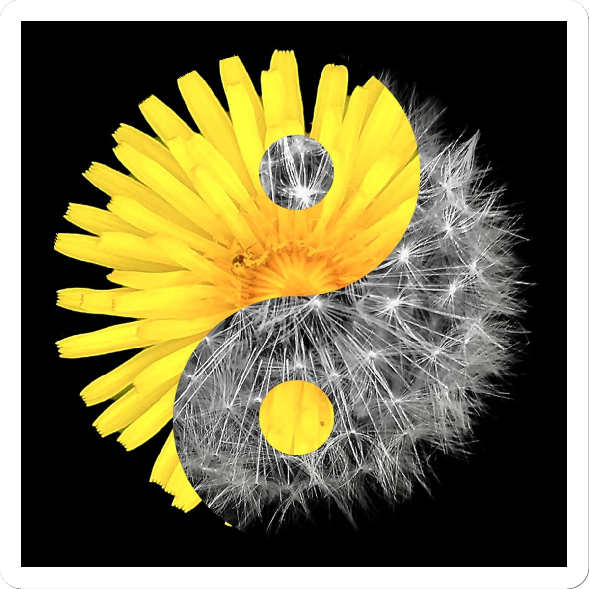Dandelion Flower Yin Yang Sticker