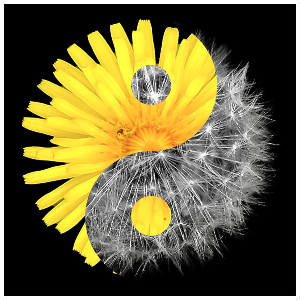 Dandelion Flower Yin Yang Sticker