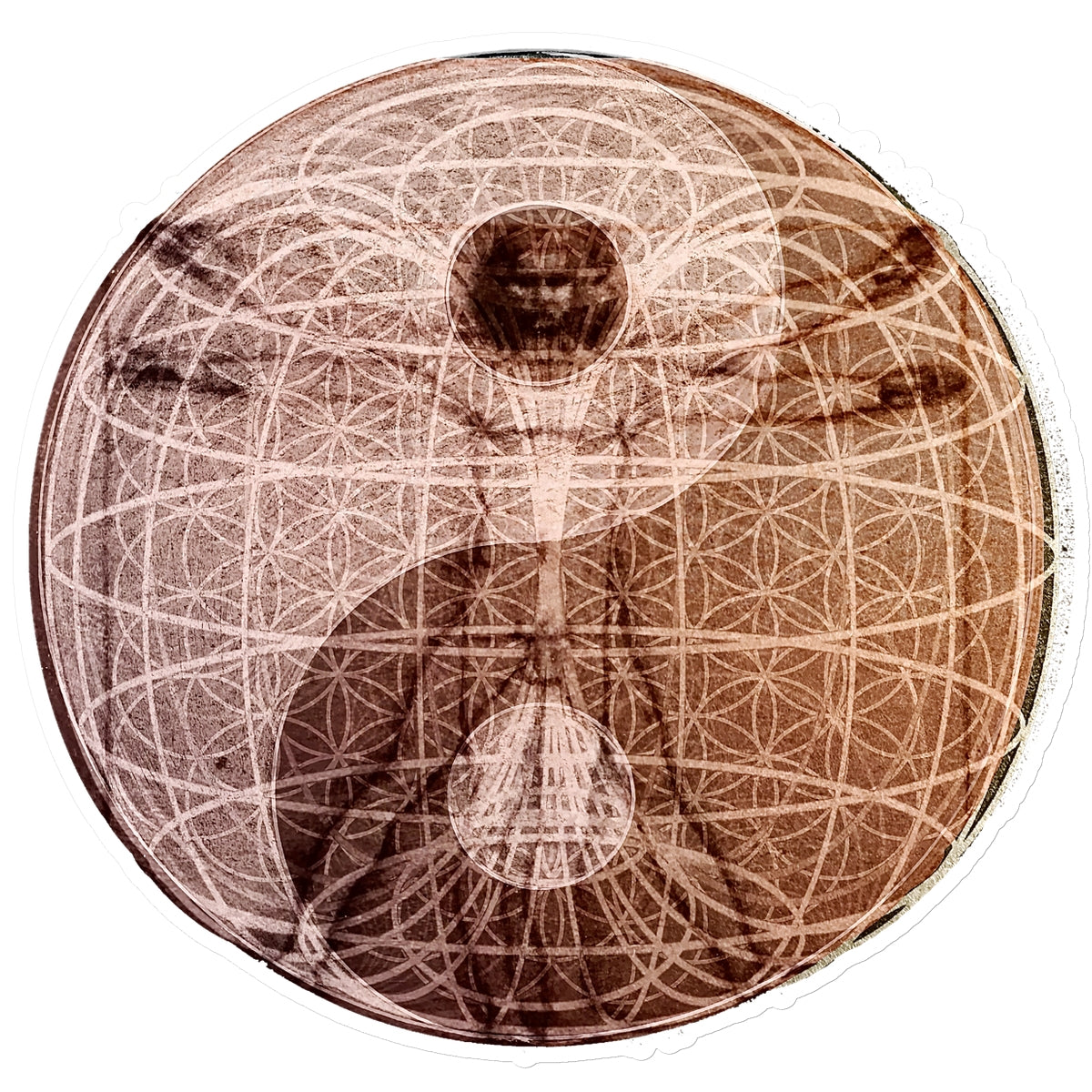 The Sphere of Life Energy Sticker