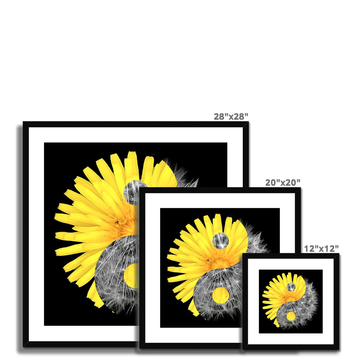 Dandelion Flower Yin Yang Framed & Mounted Print