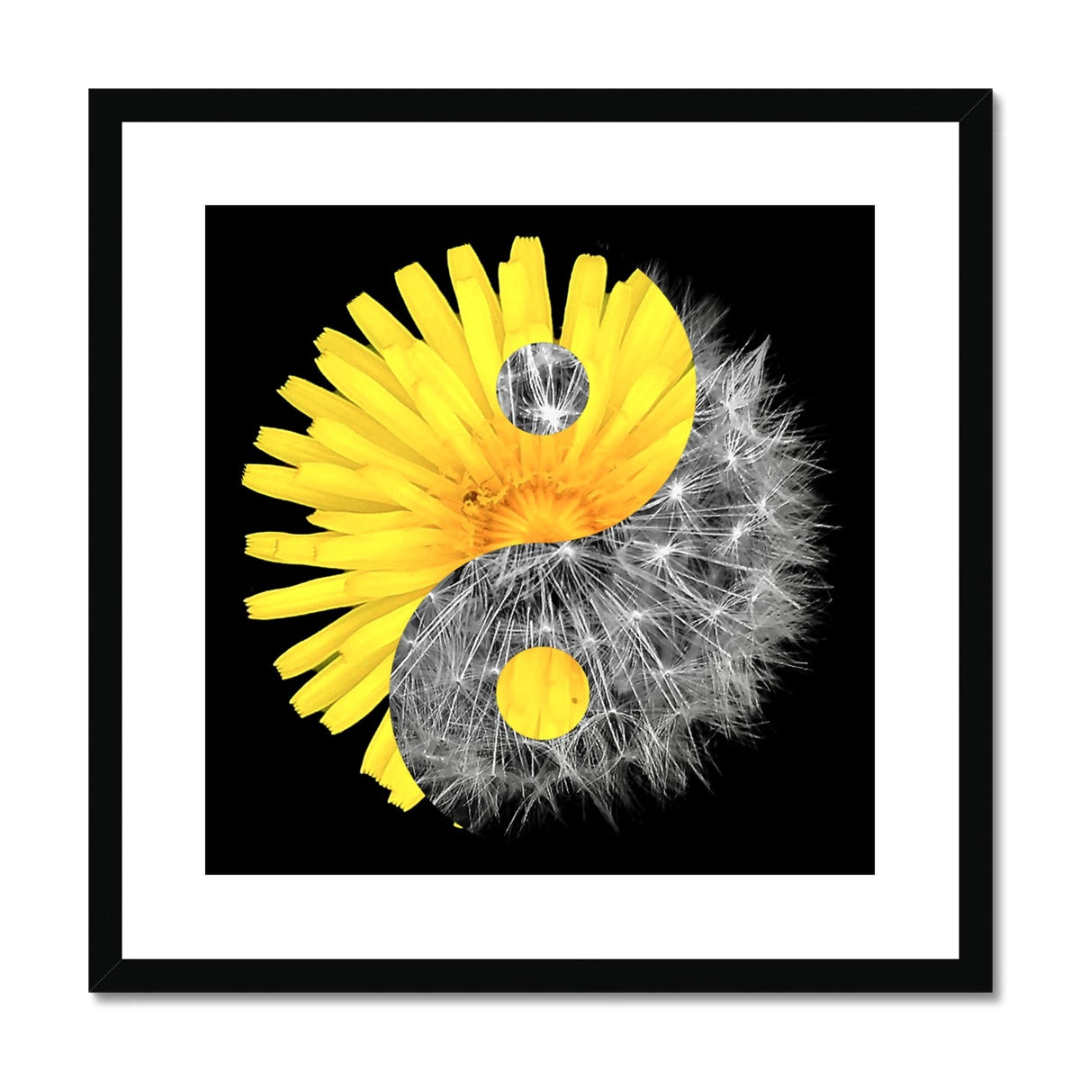 Dandelion Flower Yin Yang Framed & Mounted Print