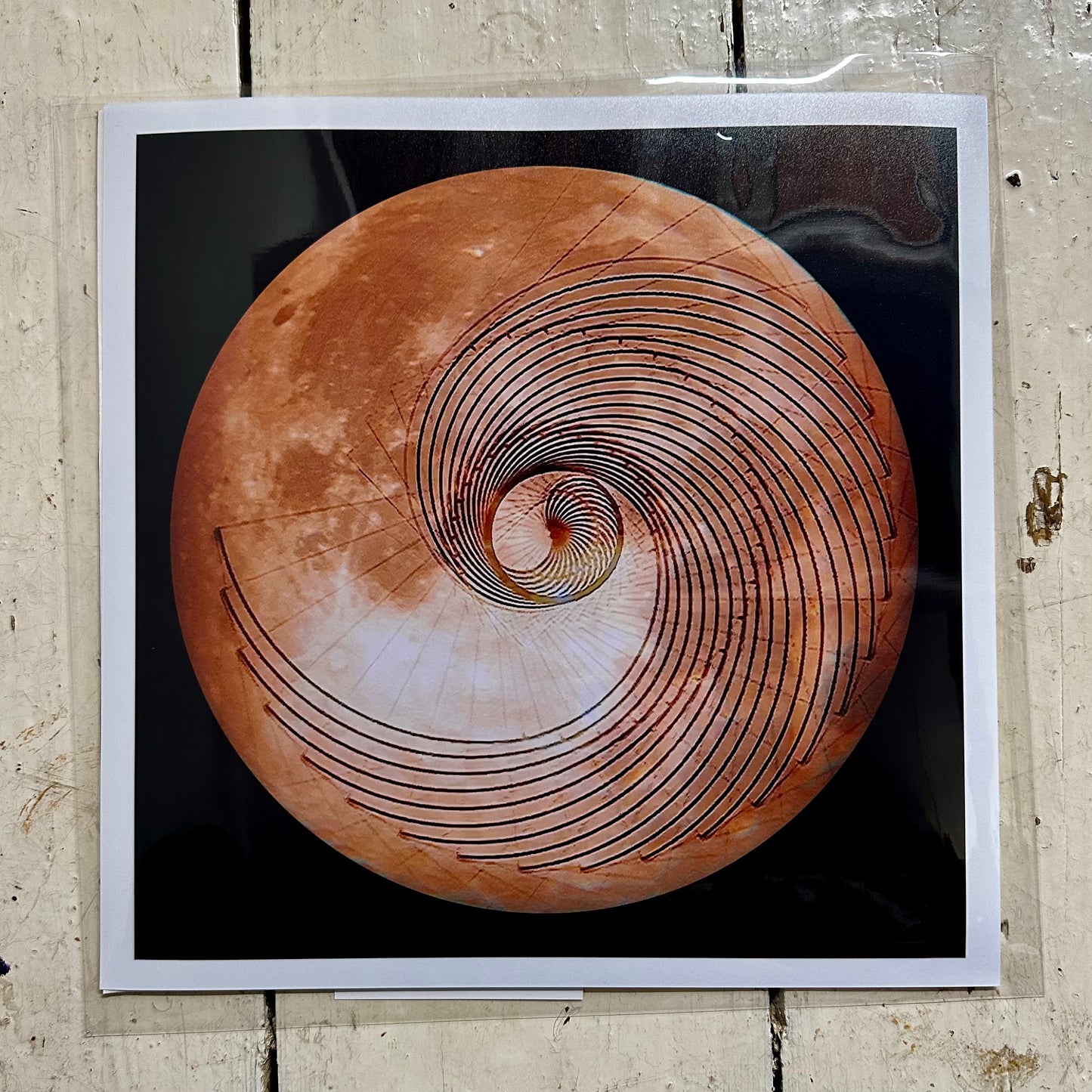 Fibonacci Moon Print C-Type Print - Nature of Flowers