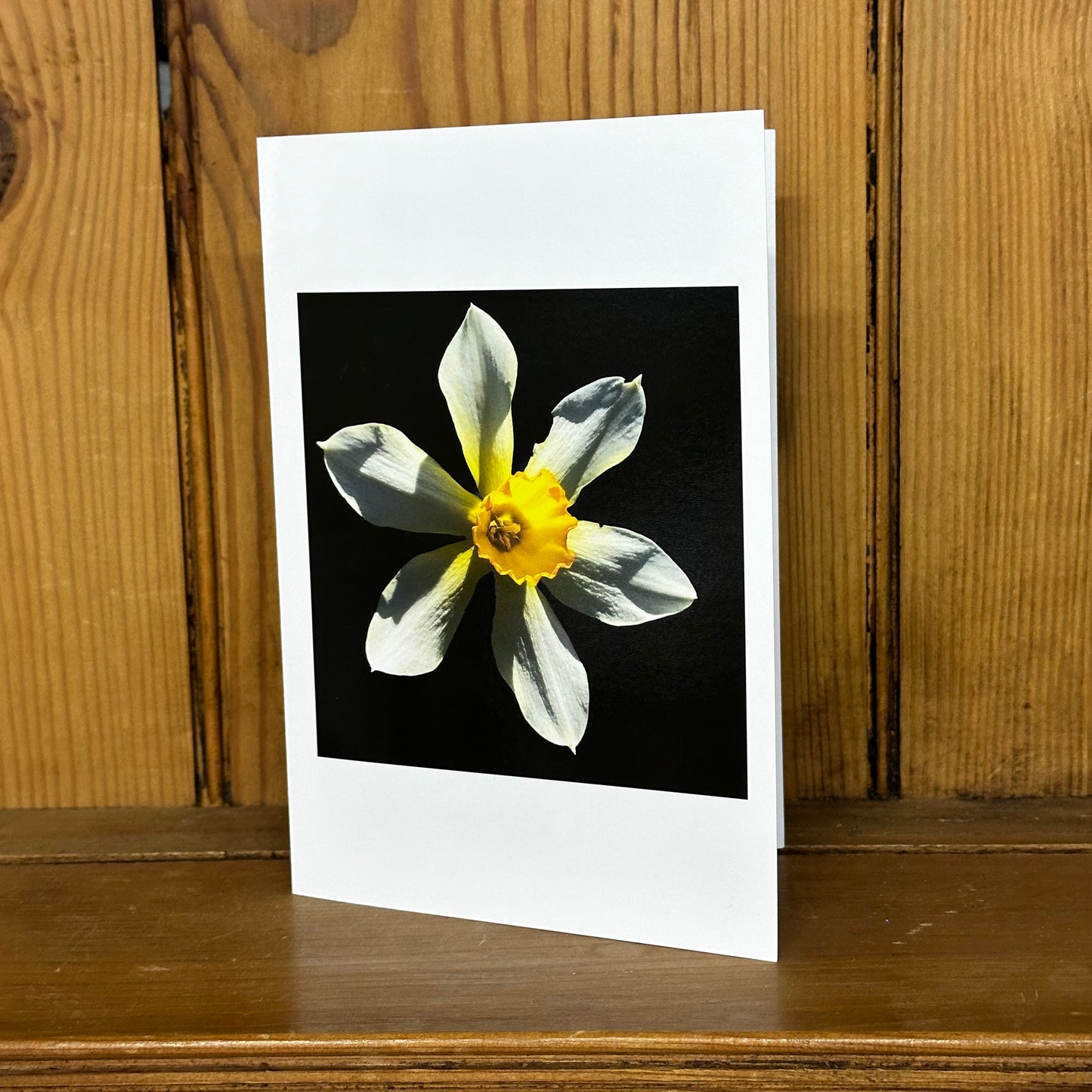 Daffodil Flower Print Greeting Card - Nature of Flowers