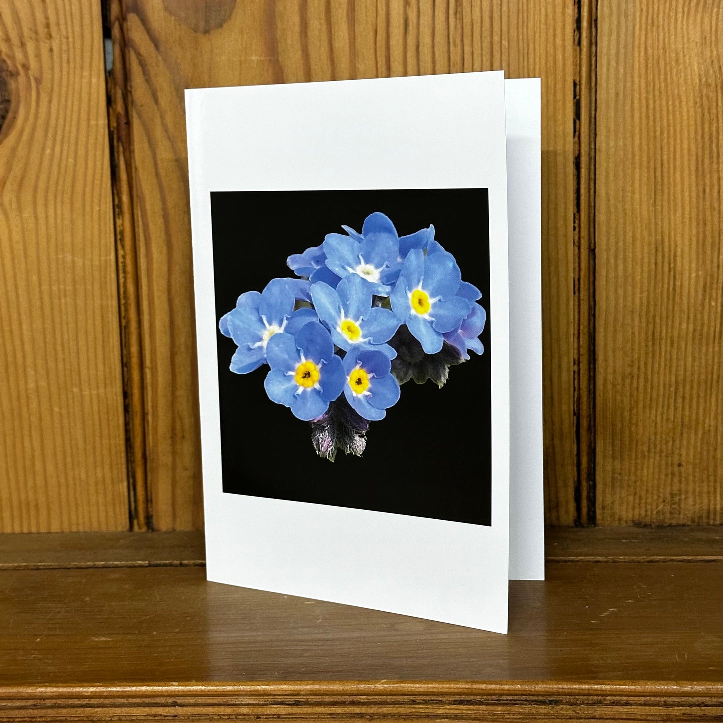 Forget me Not Print Greeting Card