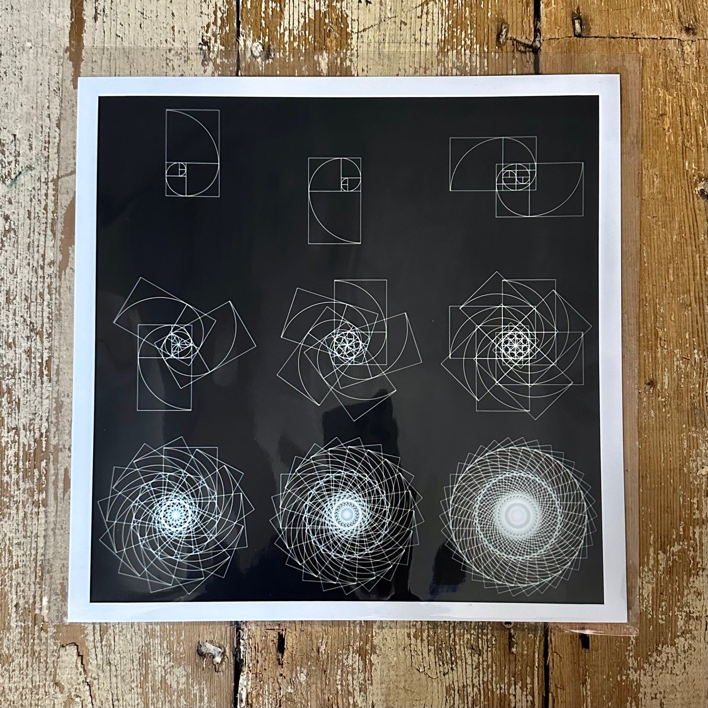 Fibonacci Sequence C-Type Print - Nature of Flowers