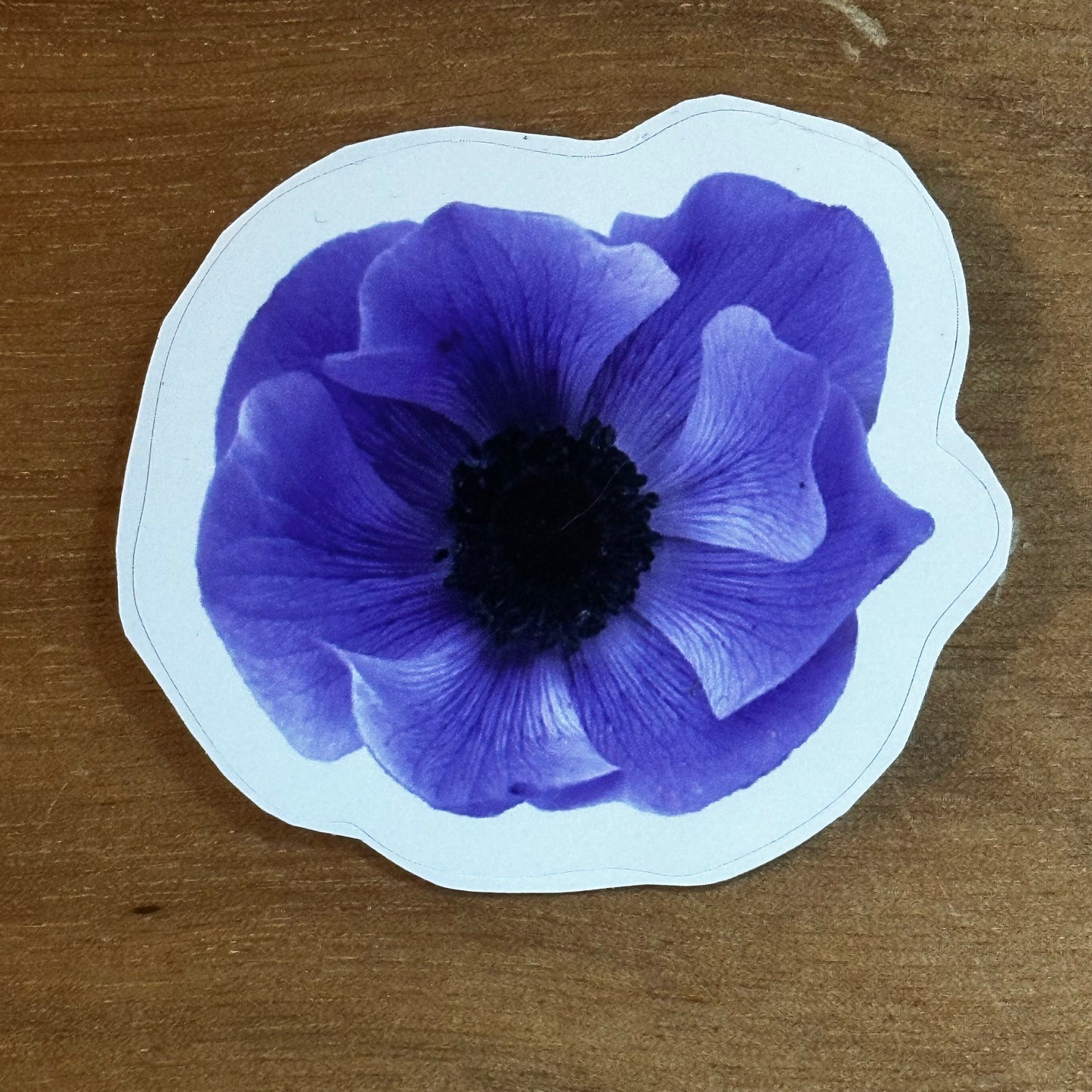 Mistral Blue Anemone Flower Sticker