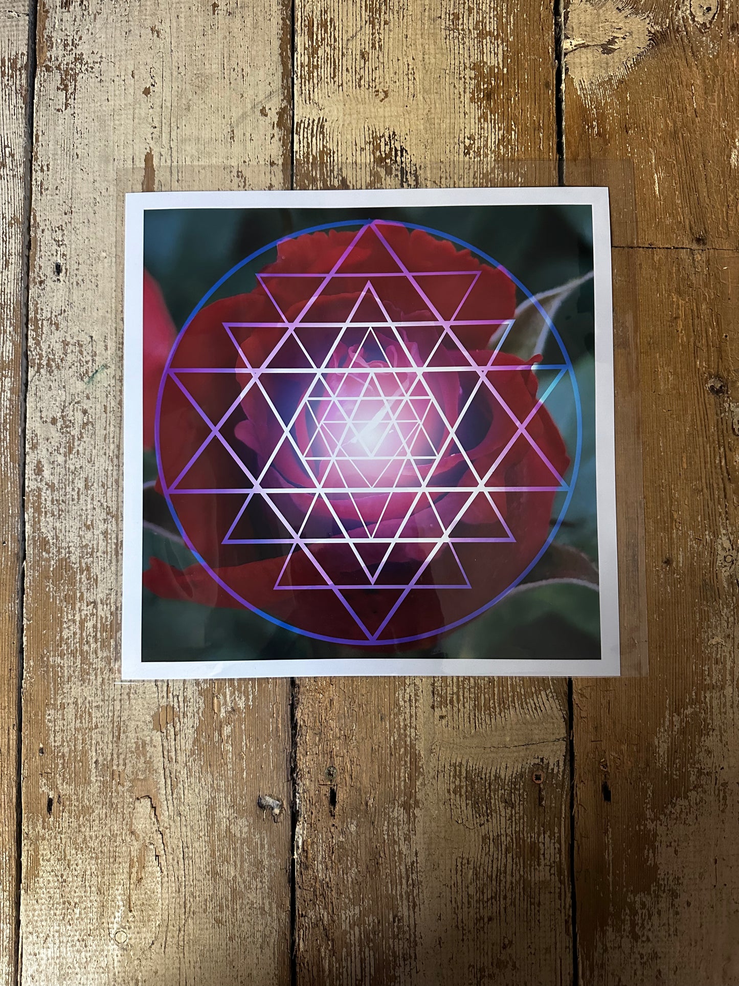 Red Rose Shri Yantra C-Type Print - Nature of Flowers