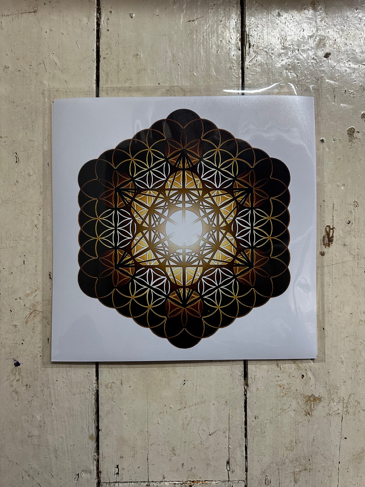 Fruit of Life Glow C-Type Print