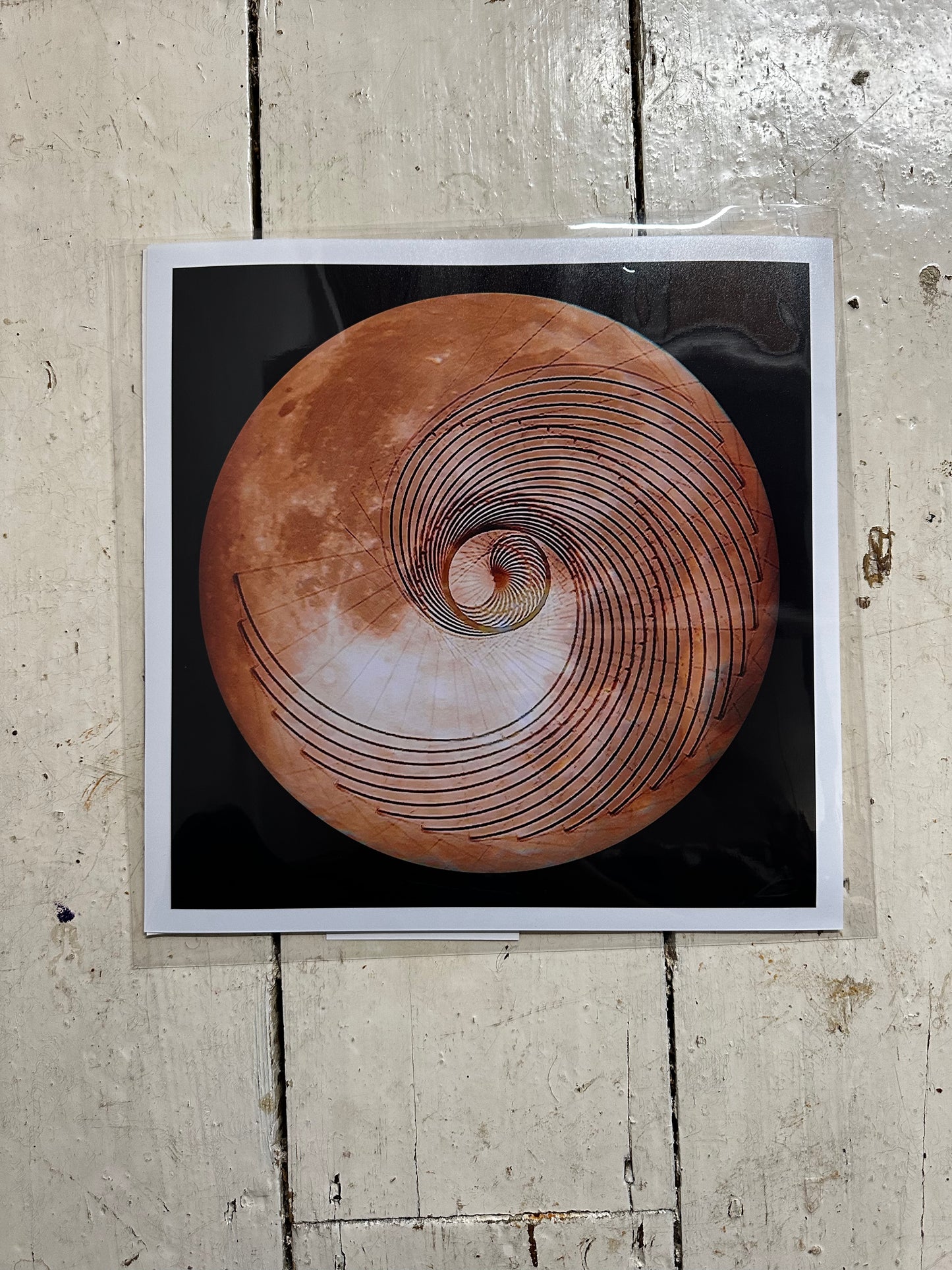 Fibonacci Moon Print C-Type Print - Nature of Flowers