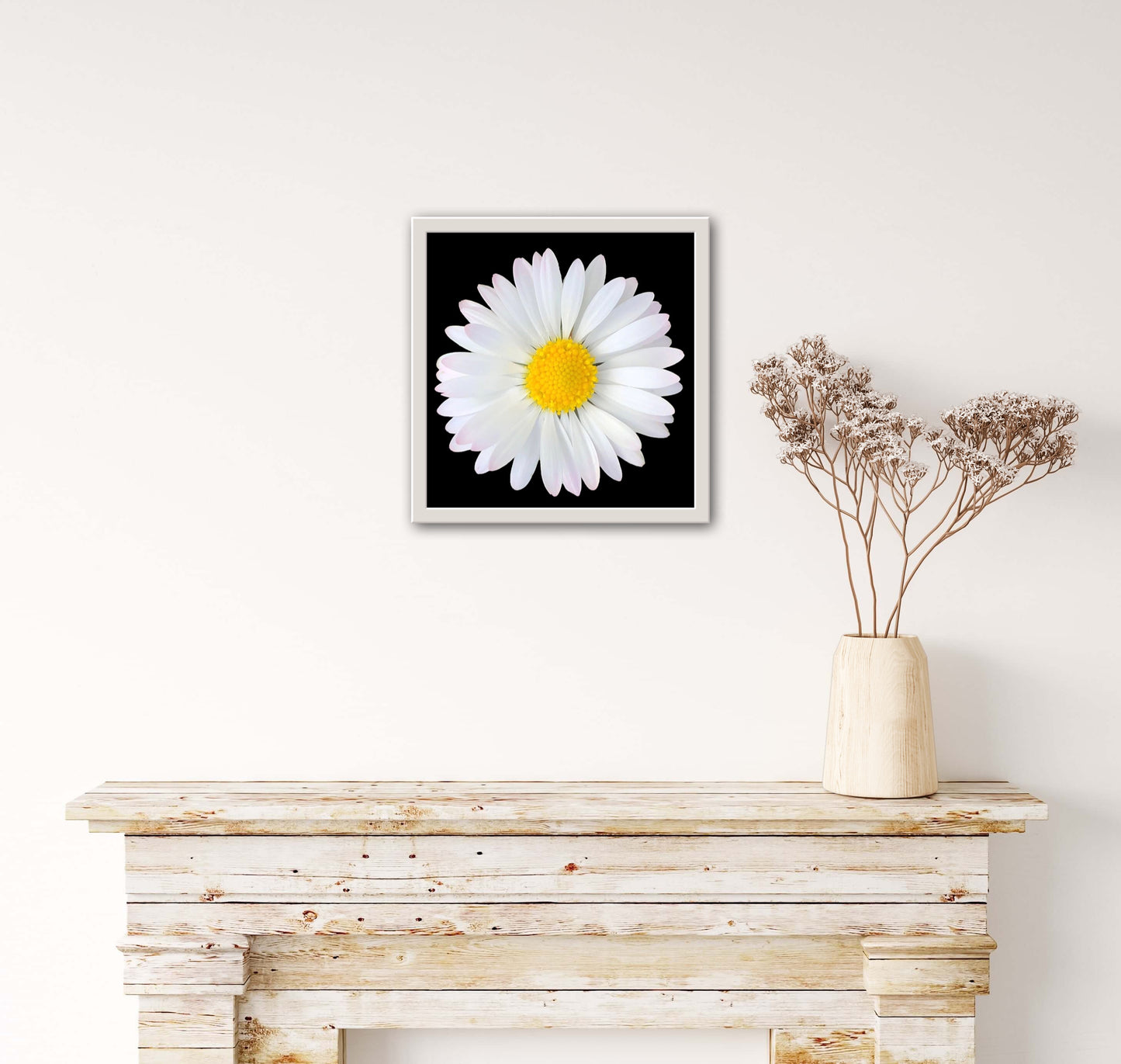 Daisy Print C-Type Print - Nature of Flowers