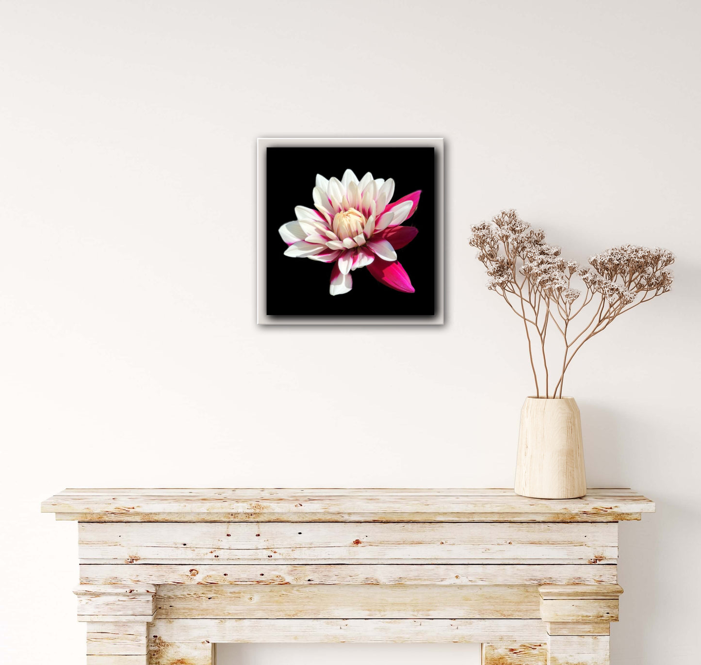 Pink Dahlia Print C-Type Print - Nature of Flowers