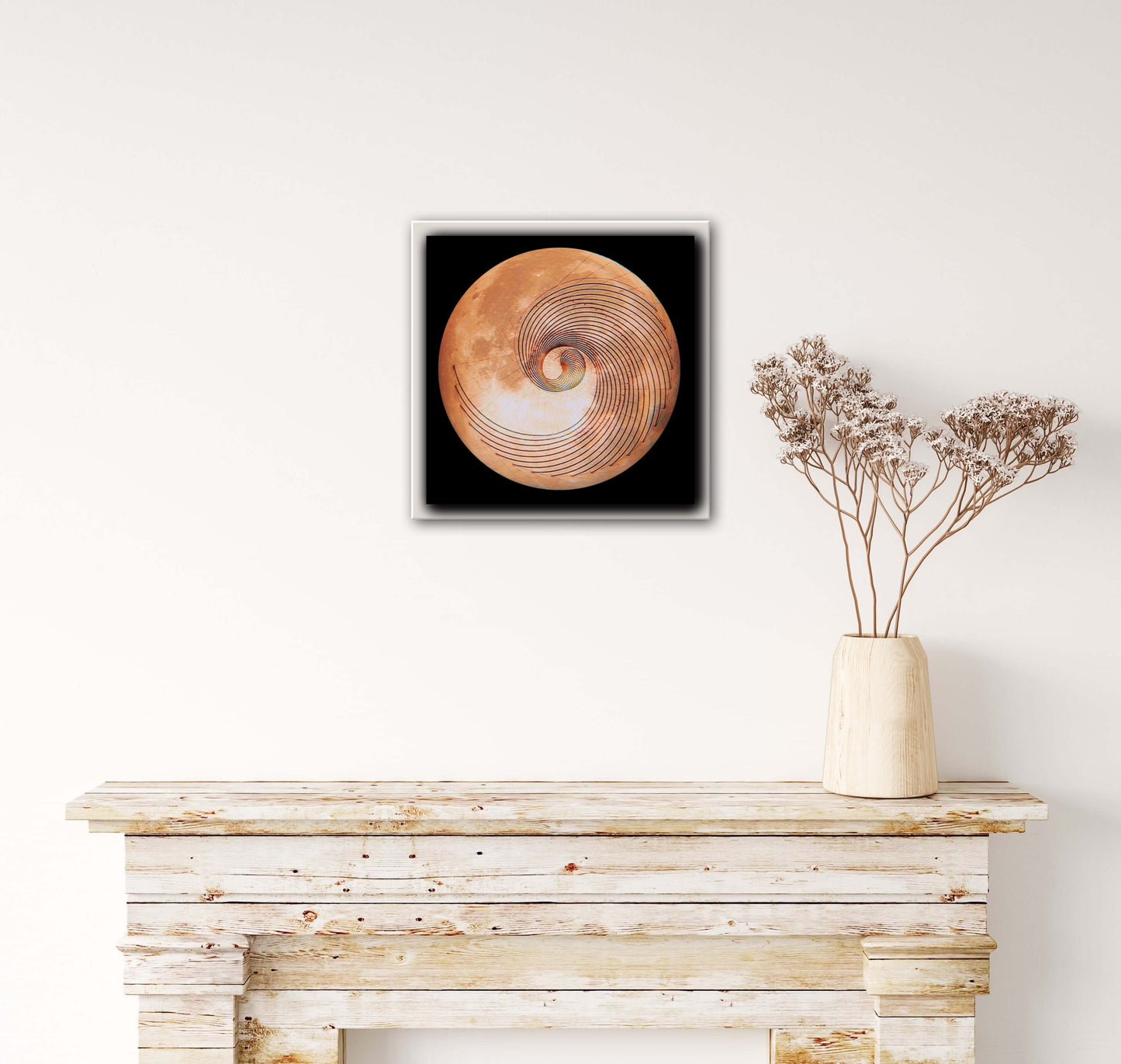 Fibonacci Moon Print C-Type Print - Nature of Flowers