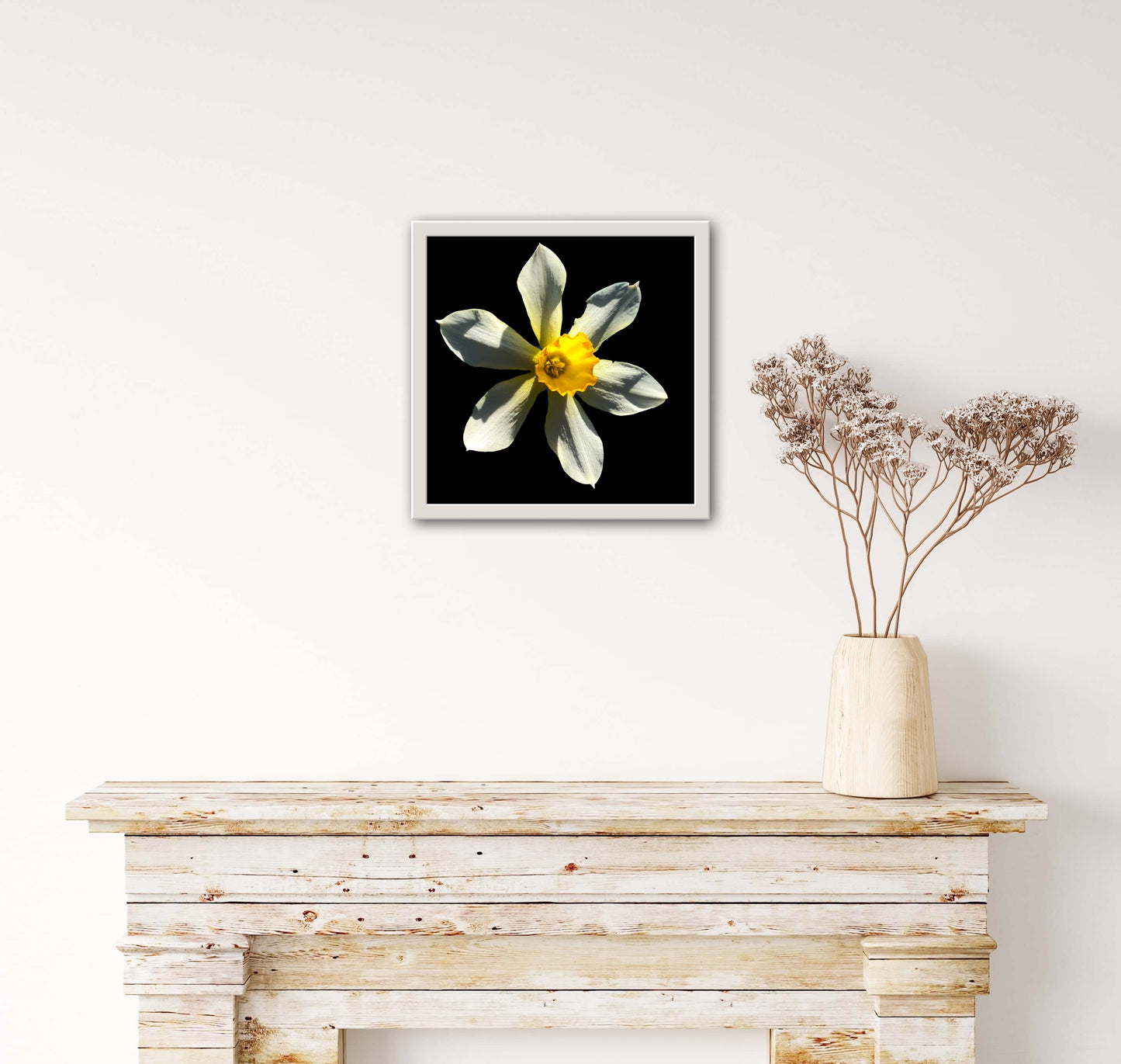 Daffodil Flower Print C-Type Print - Nature of Flowers