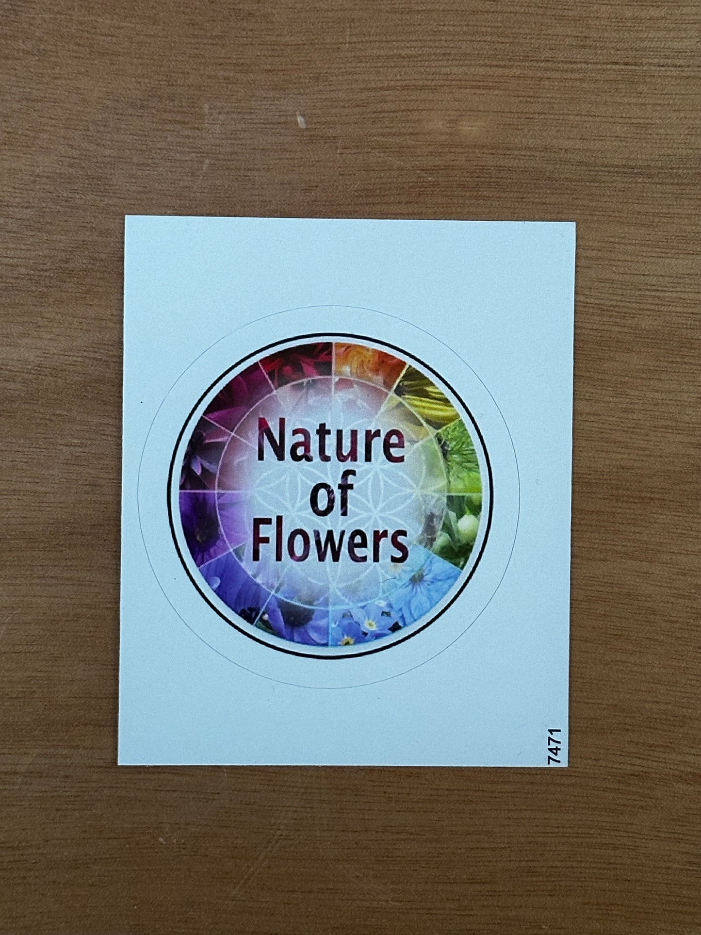 Nature of Flower Logo Sticker in