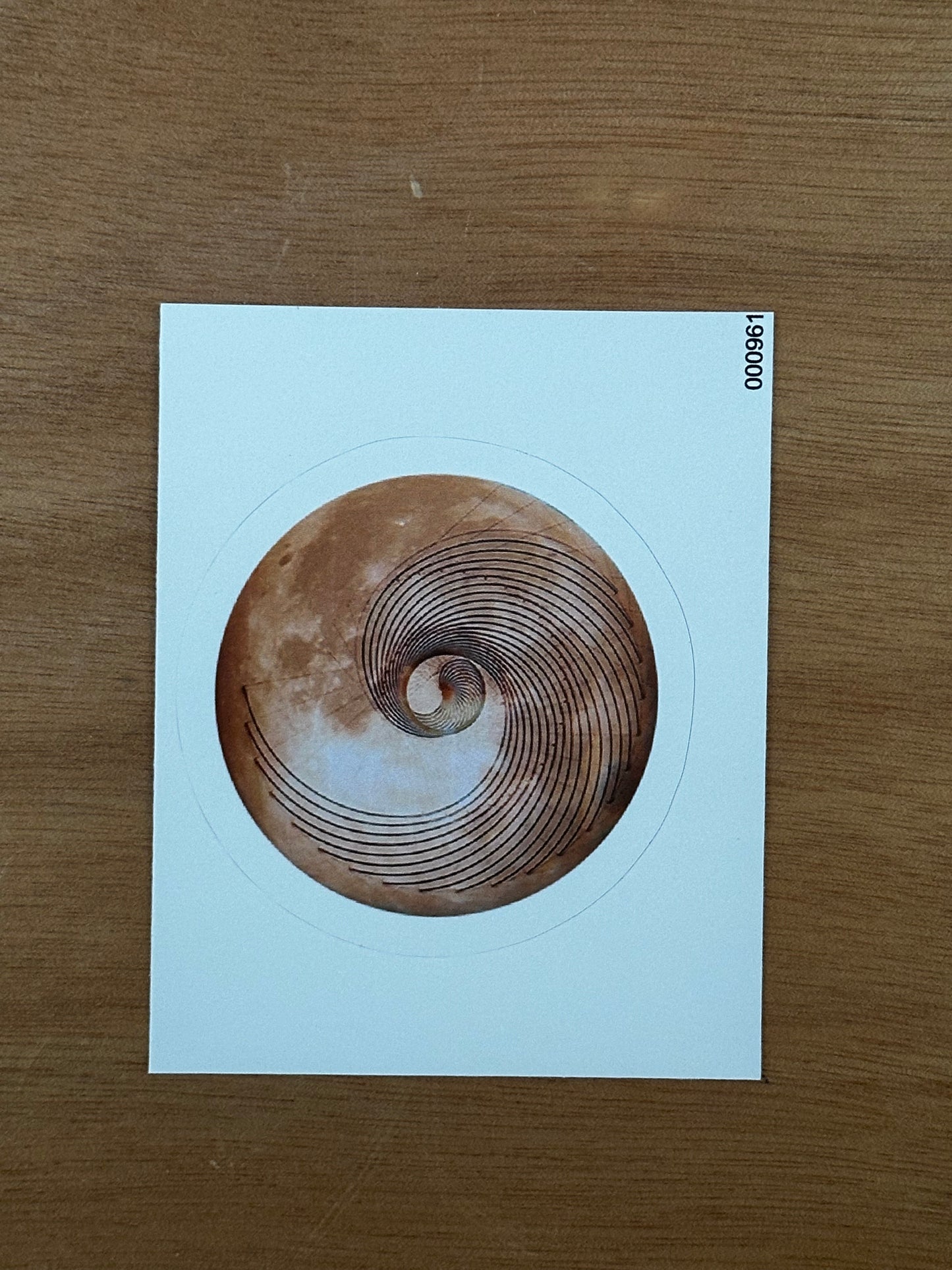 Fibonacci Moon Sticker - Nature of Flowers