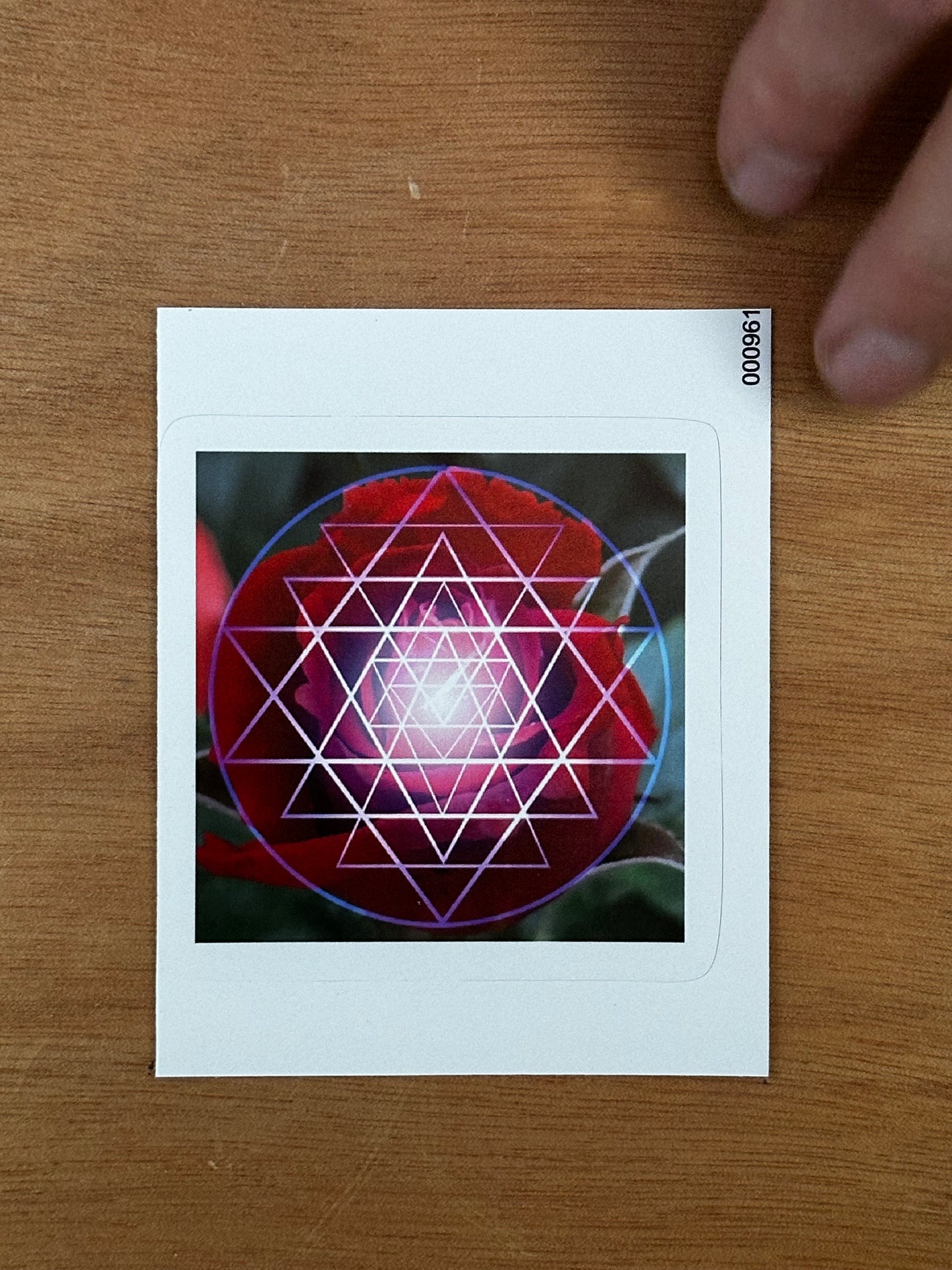 Red Rose Shri Yantra Sticker - Nature of Flowers