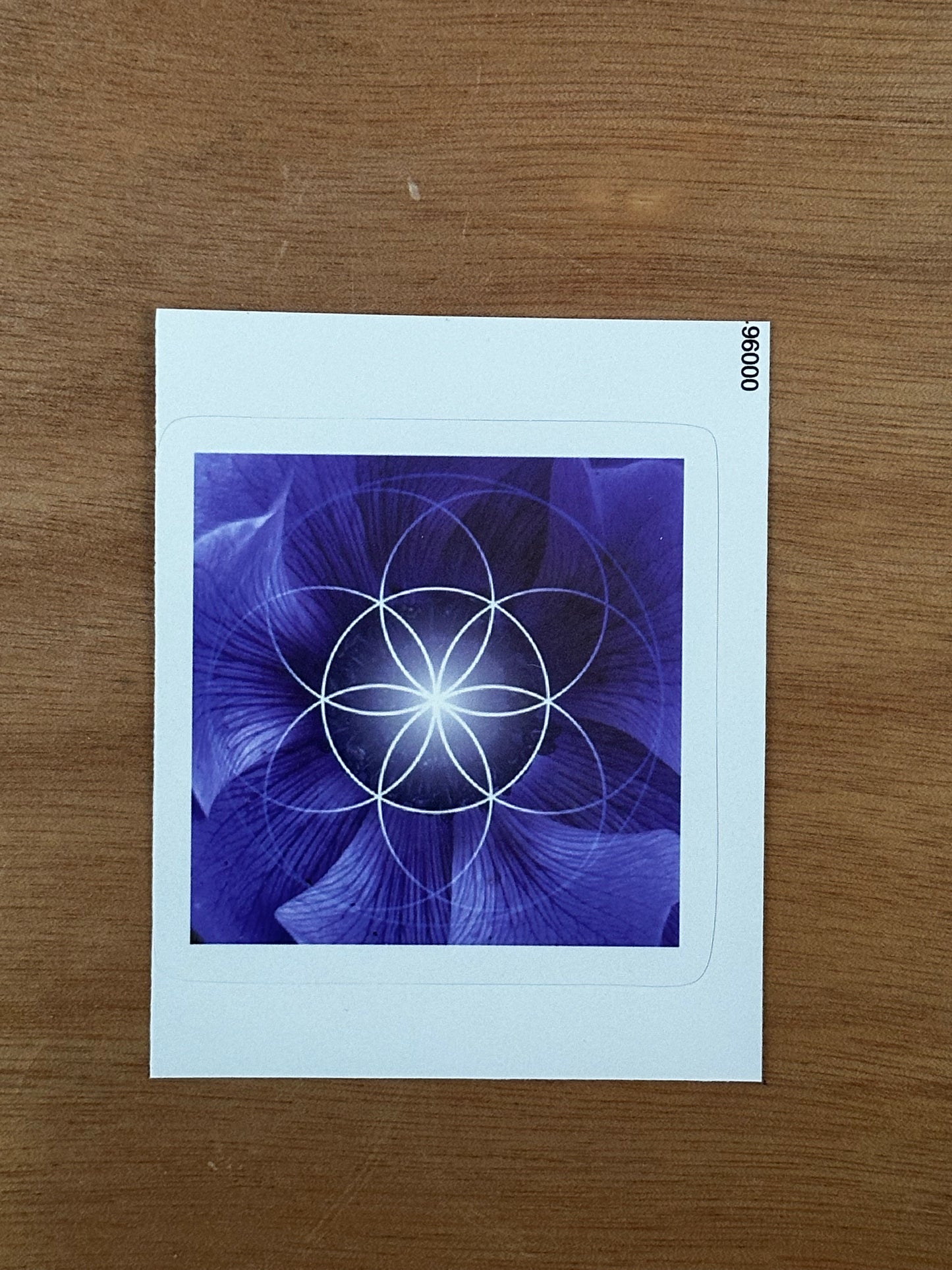 Blue Flower Seed of Life Sticker