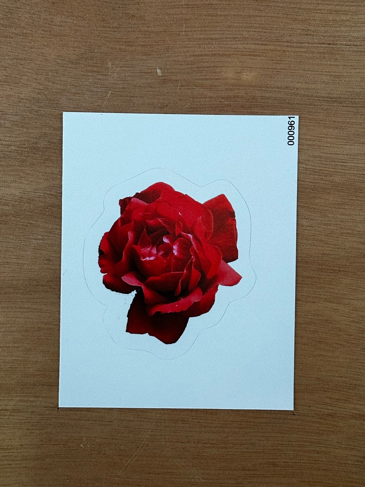 Red Rose Sticker