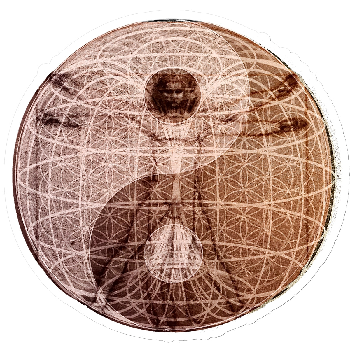 The Sphere of Life Energy Sticker