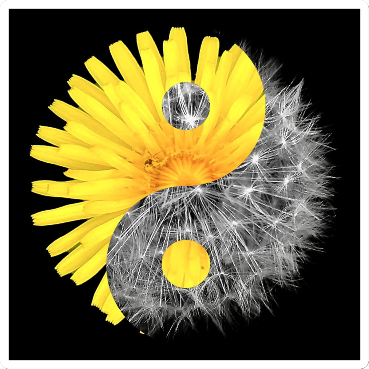Dandelion Flower Yin Yang Sticker