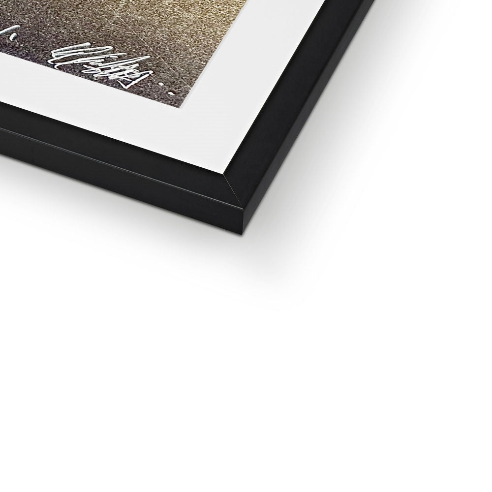 Energy Matrix inside a Torus Print Framed & Mounted Print