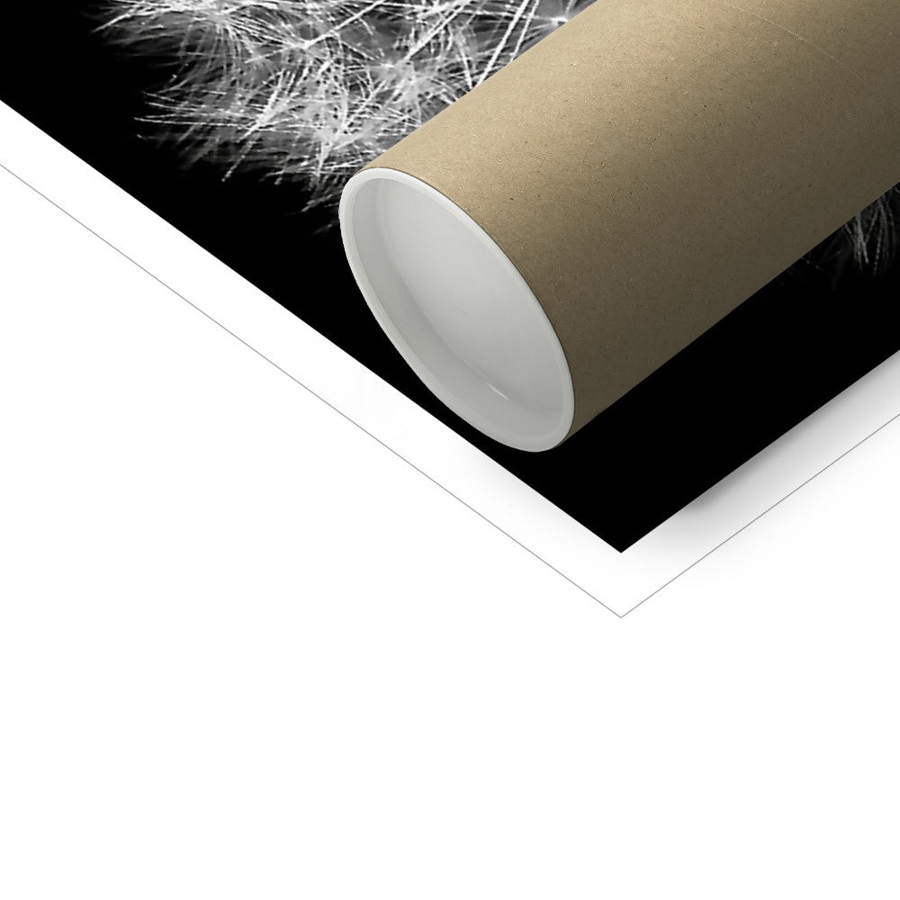 Dandelion Flower Clock C-Type Print