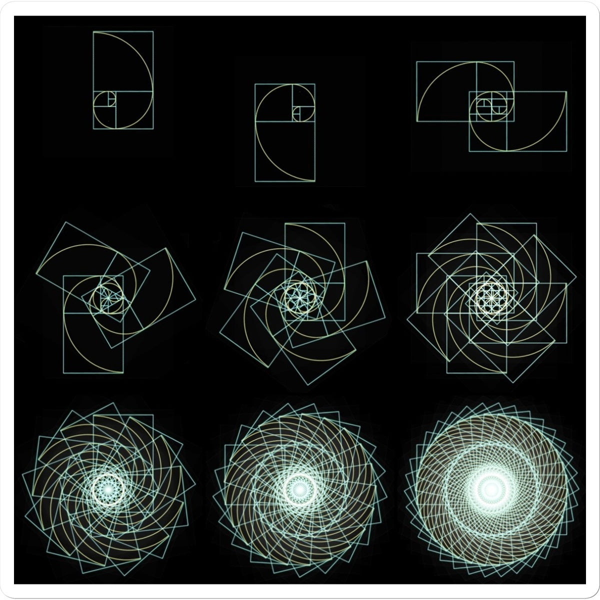 Fibonacci Sequence  Sticker - Nature of Flowers
