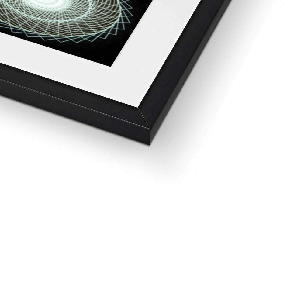 Fibonacci Sequence  Framed & Mounted Print - Nature of Flowers