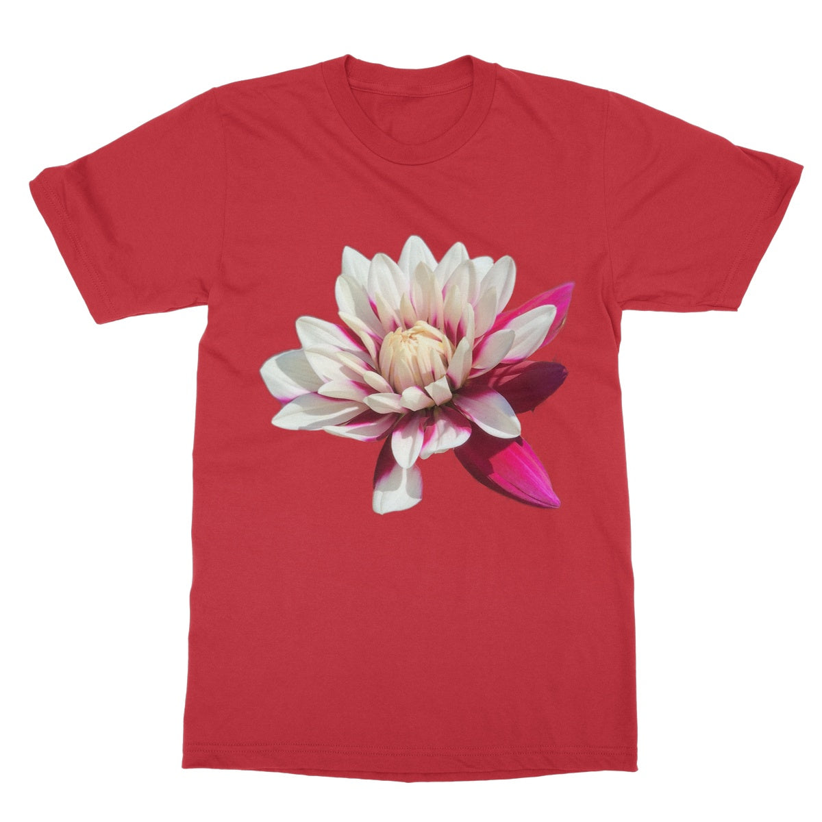 Pink Dahlia Softstyle T-Shirt