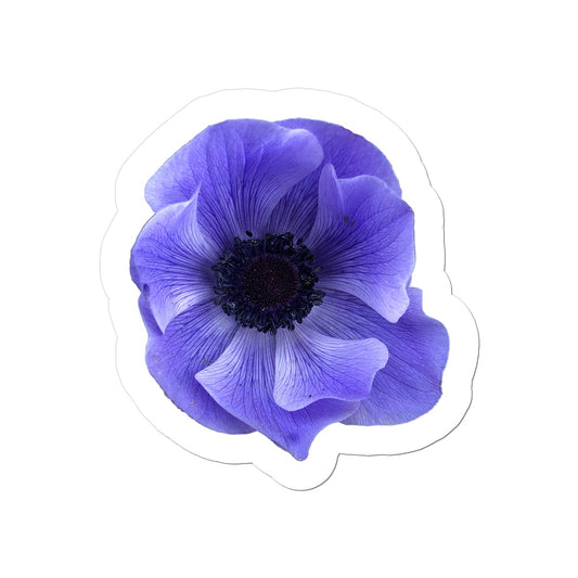 Mistral Blue Anemone Flower Sticker