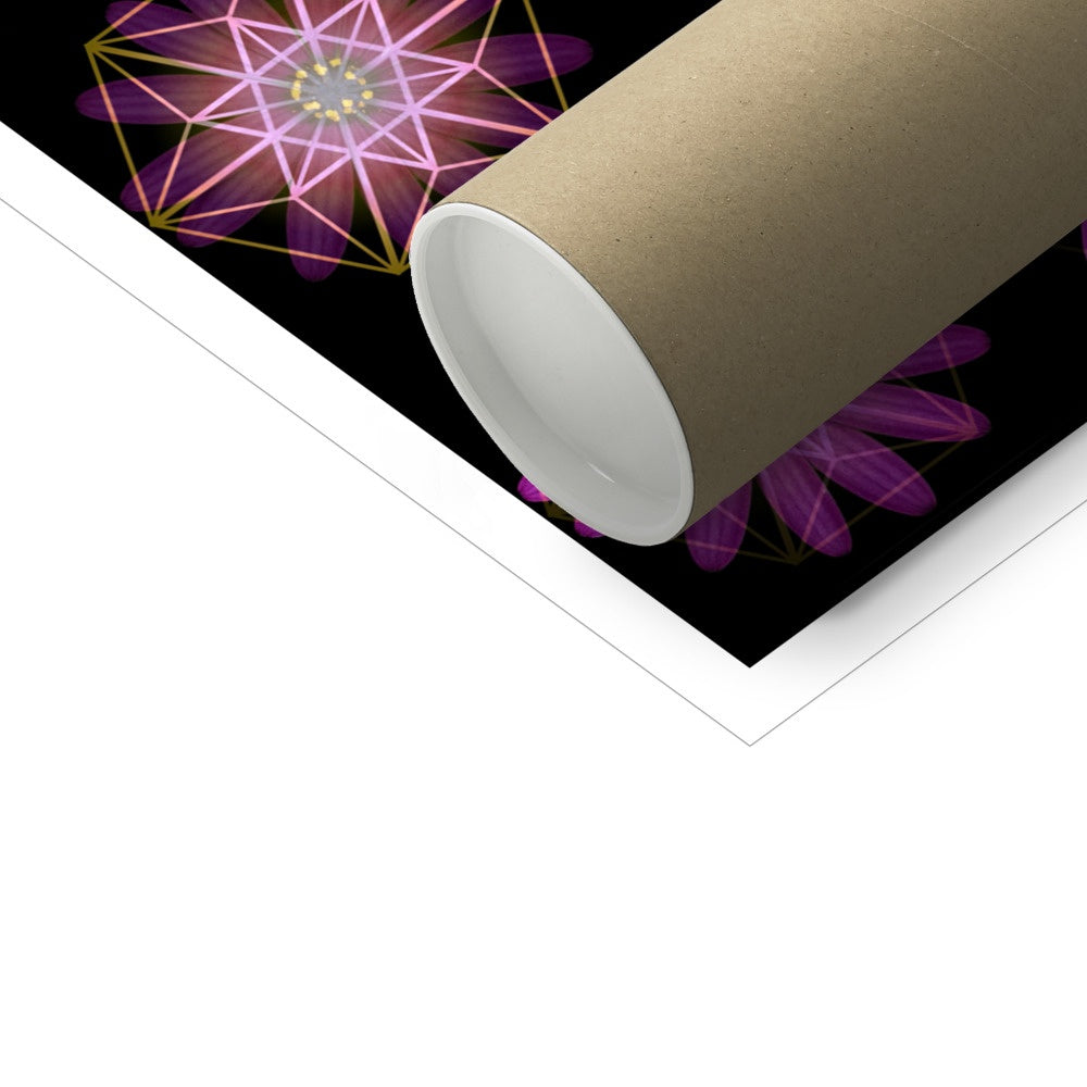 The Geometry of a Flower 1 C-Type Print