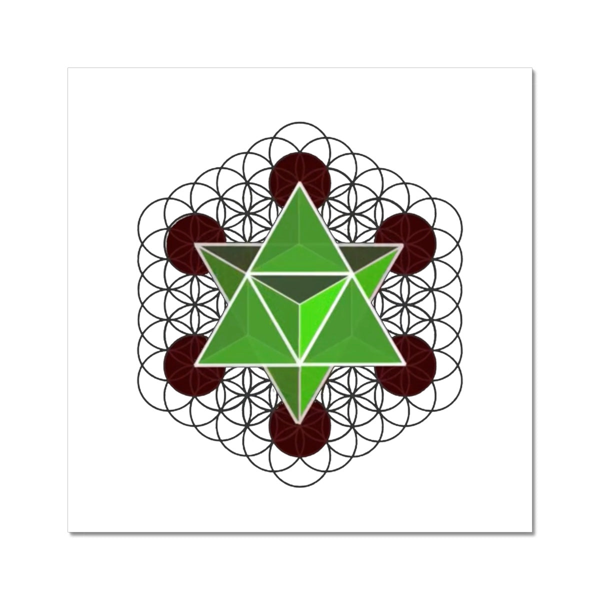 Merkaba Star Tetrahedron C-Type Print - Nature of Flowers