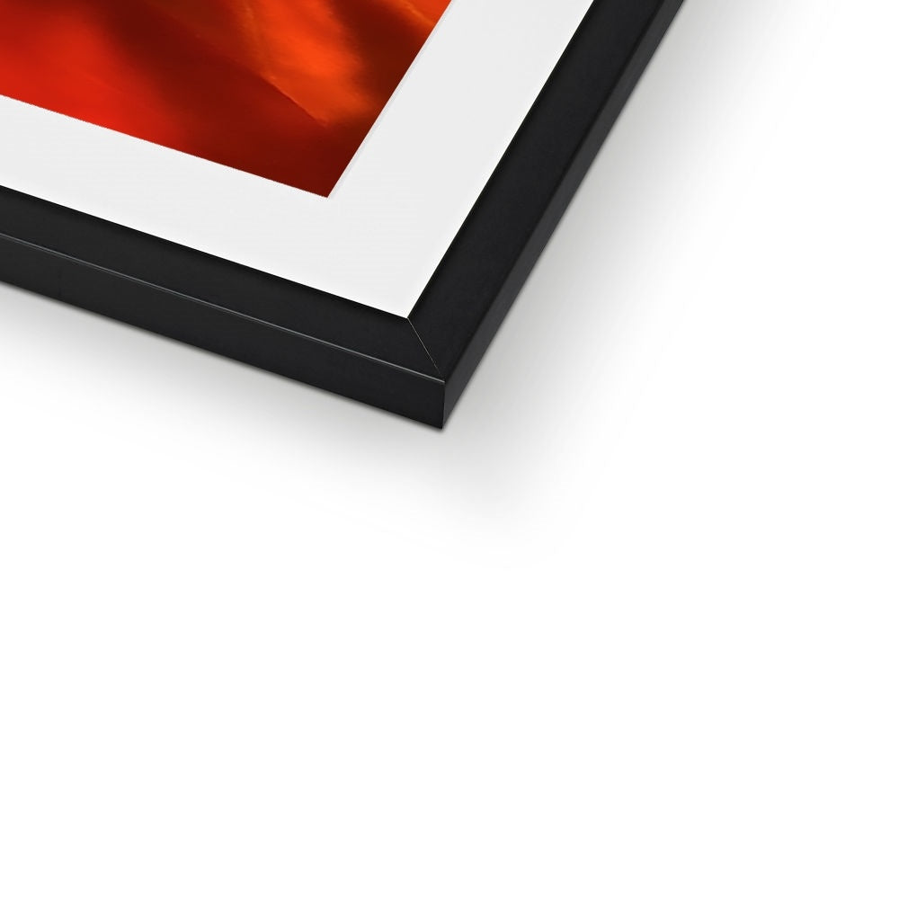 Orange Nasturtium Macro Flower Framed & Mounted Print