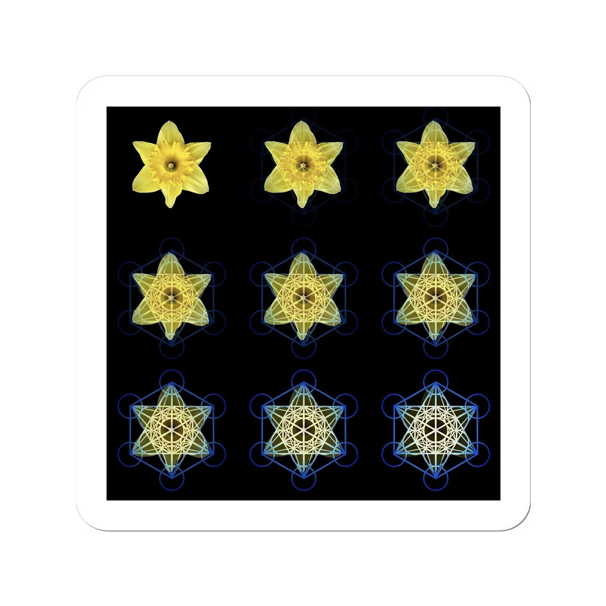 The Geometry of Flowers 3 Sticker