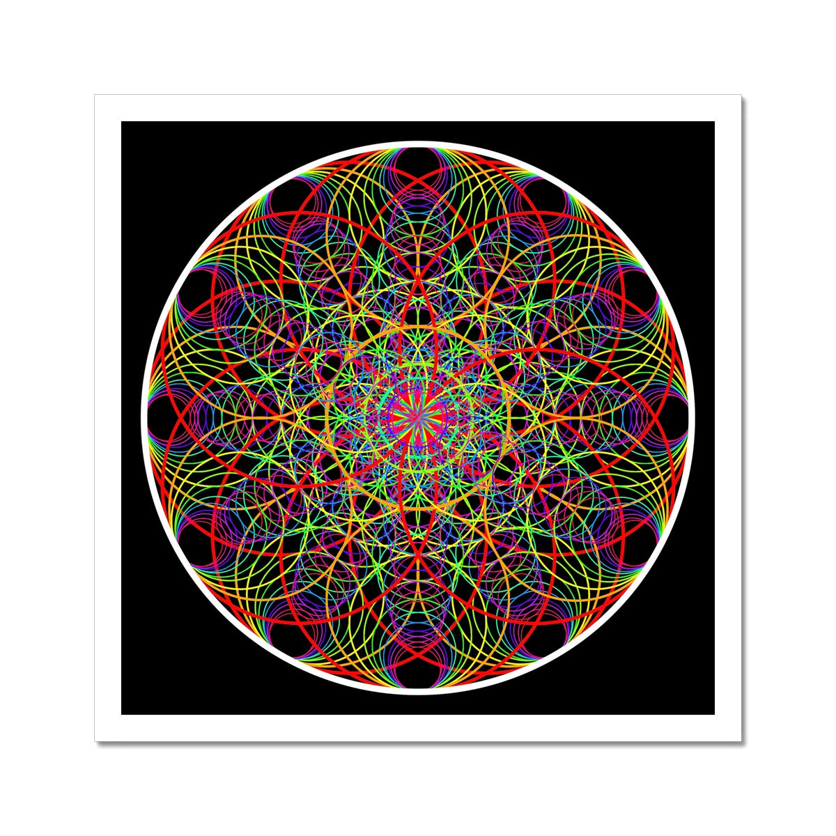 Twelve Sound Waves in a Circle Print C-Type Print - Nature of Flowers