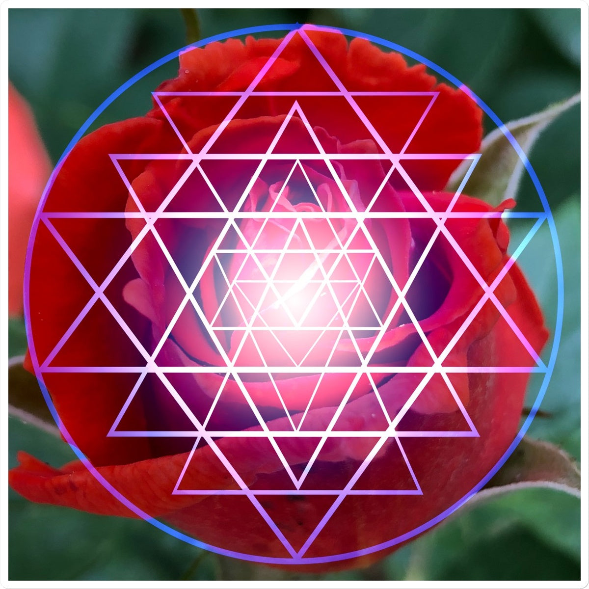 Red Rose Shri Yantra Sticker - Nature of Flowers