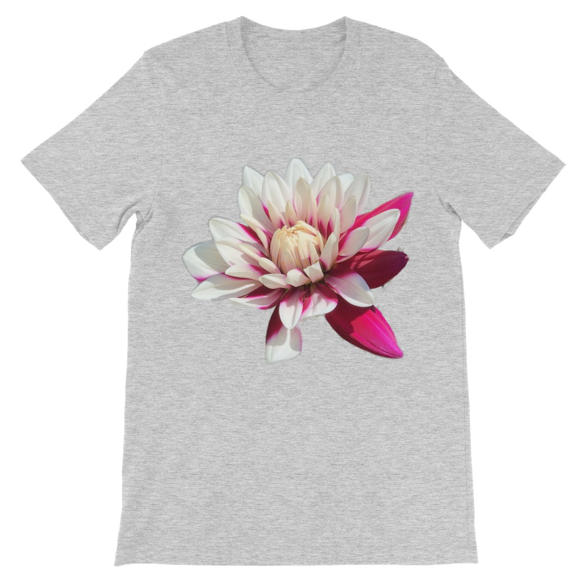 Pink Dahlia Unisex Short Sleeve T-Shirt - Nature of Flowers