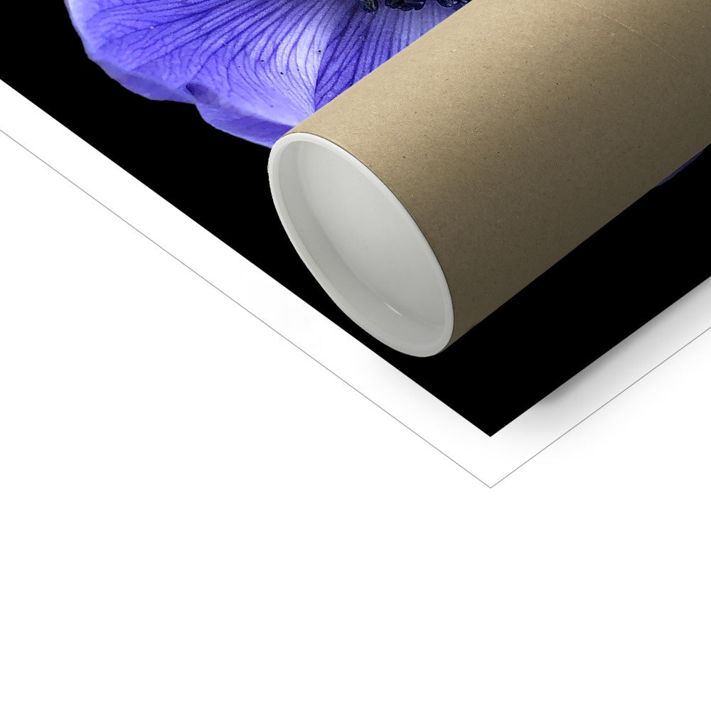 Blue Flower Print C-Type Print