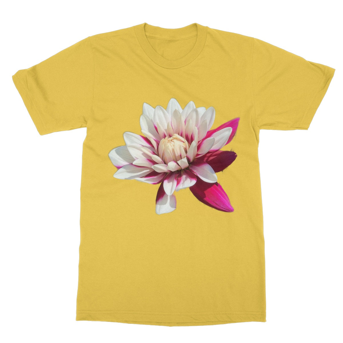 Pink Dahlia Softstyle T-Shirt