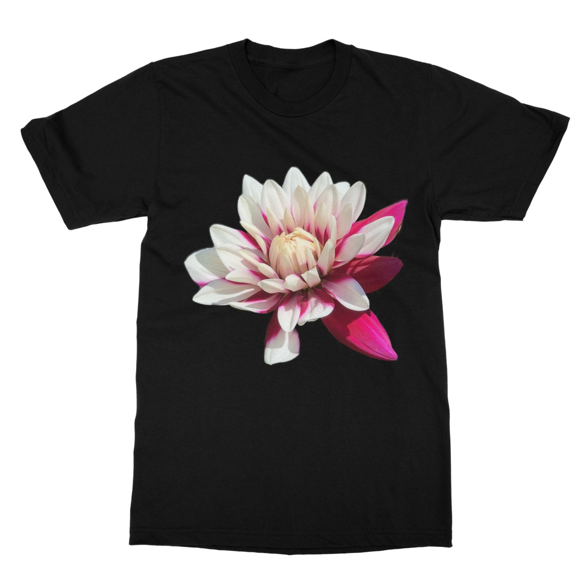 Pink Dahlia Softstyle T-Shirt