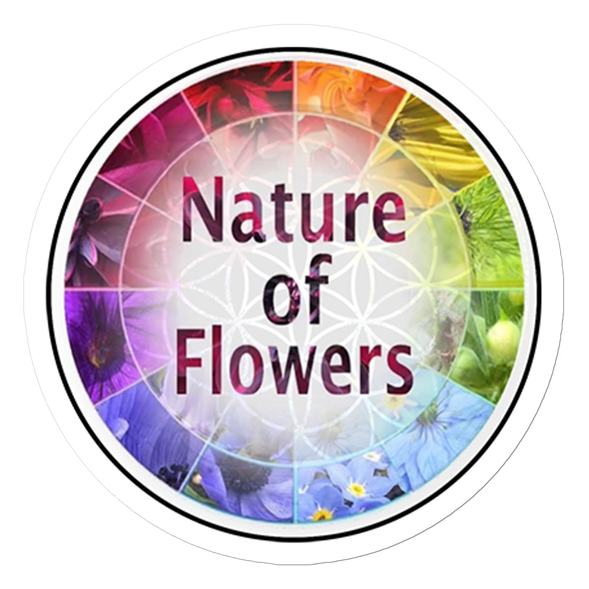 Nature of Flower Logo Sticker in