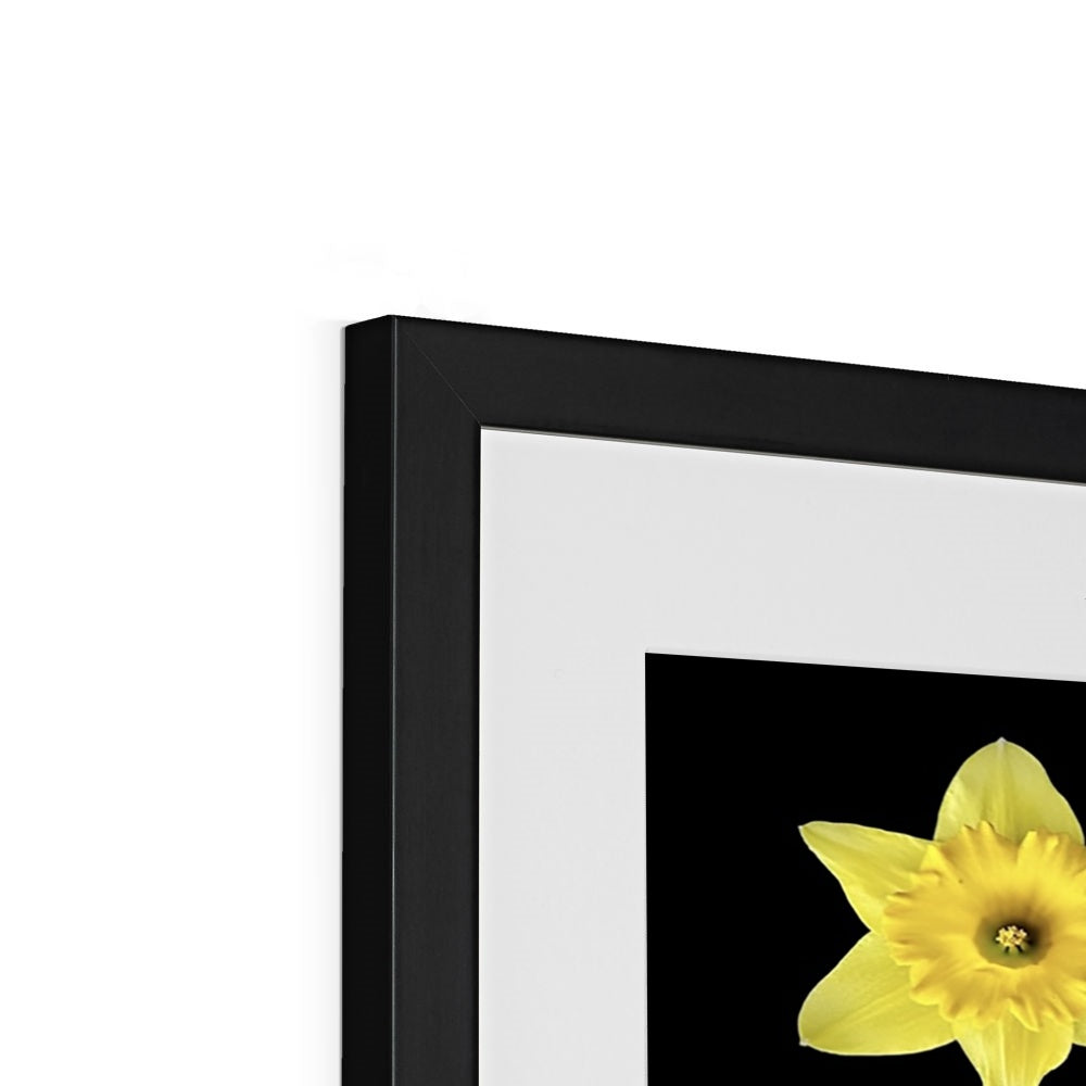 The Geometry of Flowers 3 Framed & Mounted Print