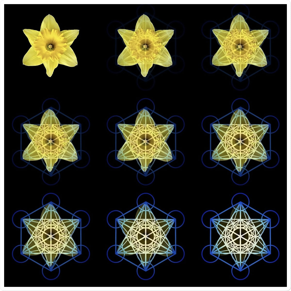 The Geometry of Flowers 3 Sticker