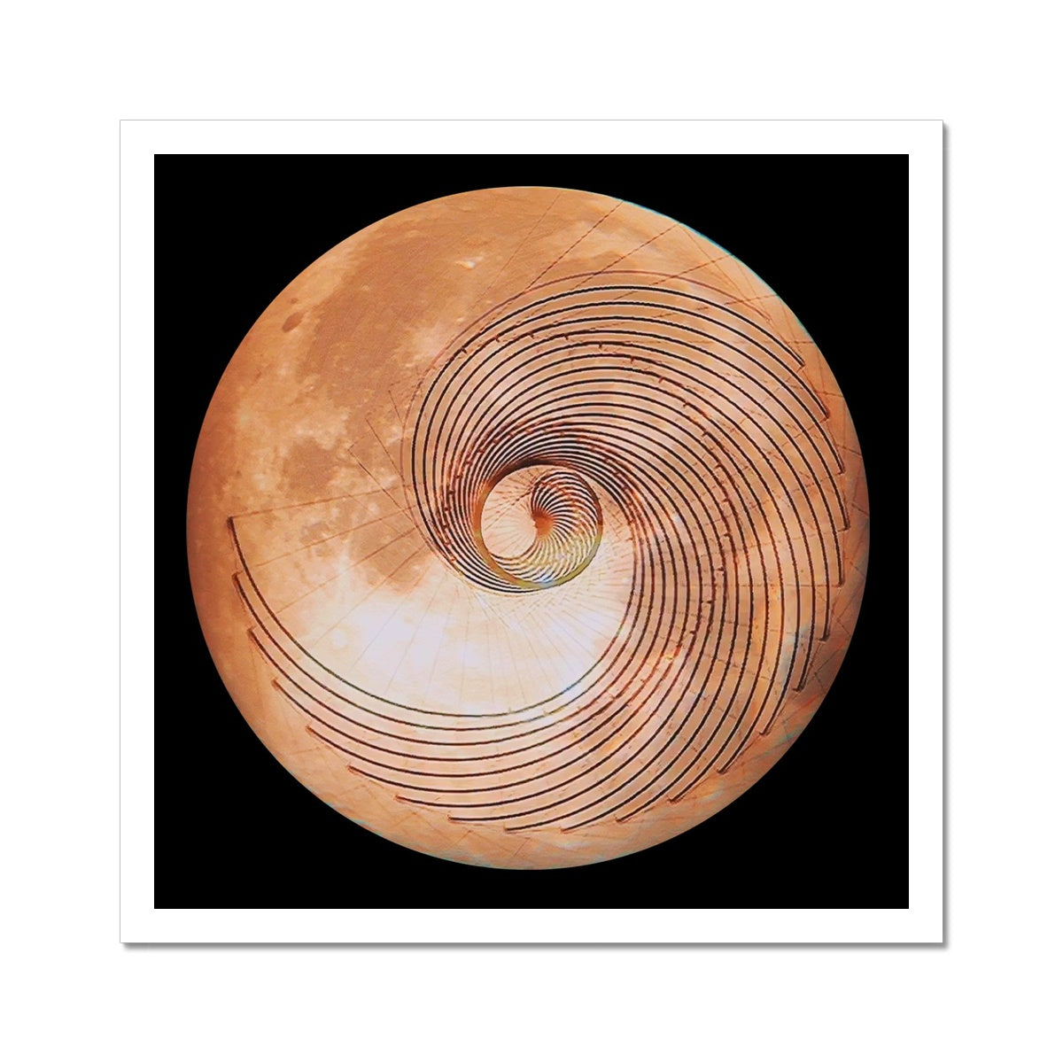 Fibonacci Moon Print C-Type Print - Nature of Flowers