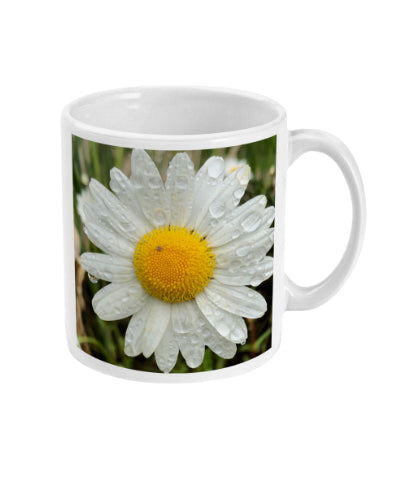 “After the Rain” Daisy Double Flower Mug - Nature of Flowers