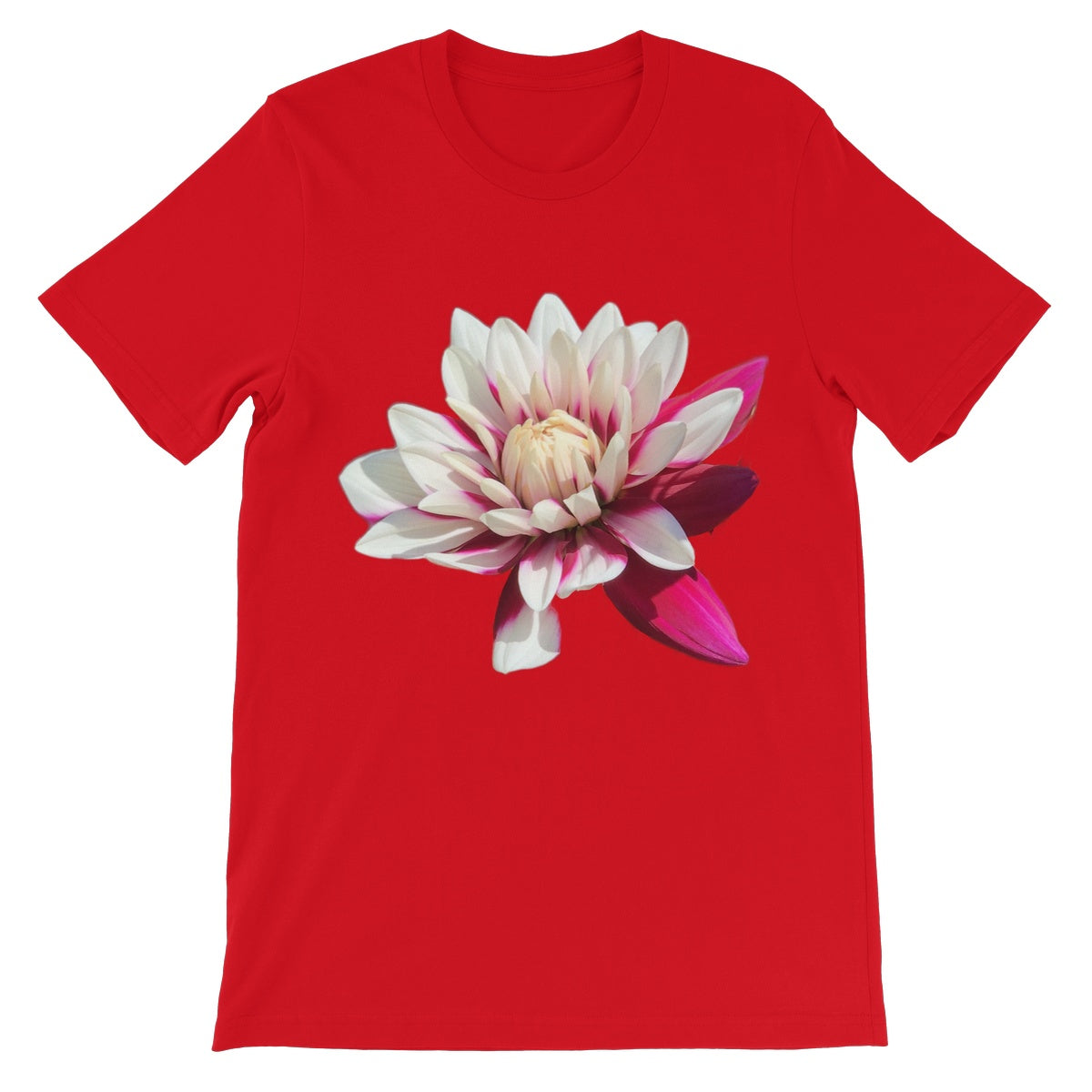 Pink Dahlia Unisex Short Sleeve T-Shirt - Nature of Flowers
