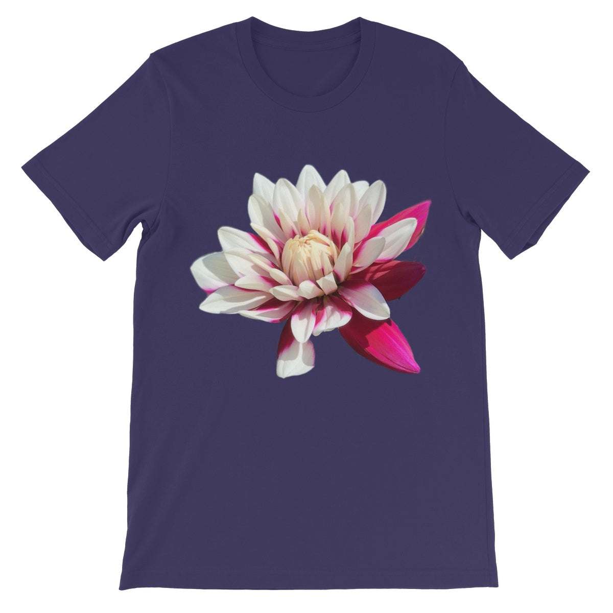 Pink Dahlia Unisex Short Sleeve T-Shirt - Nature of Flowers