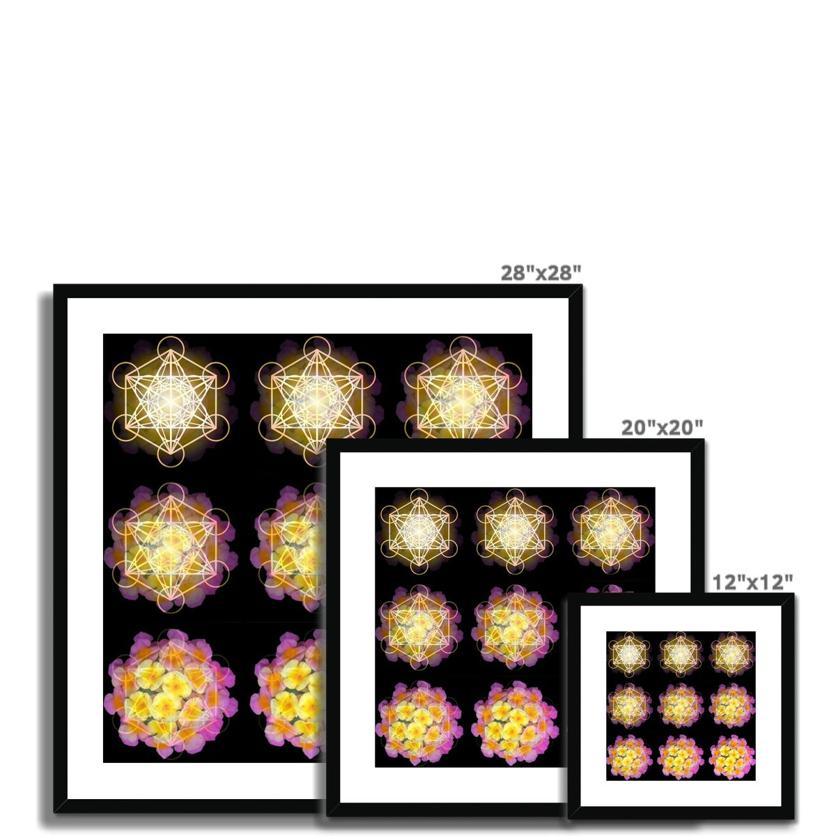 The Geometry of a Flower 2 Framed & Mounted Print